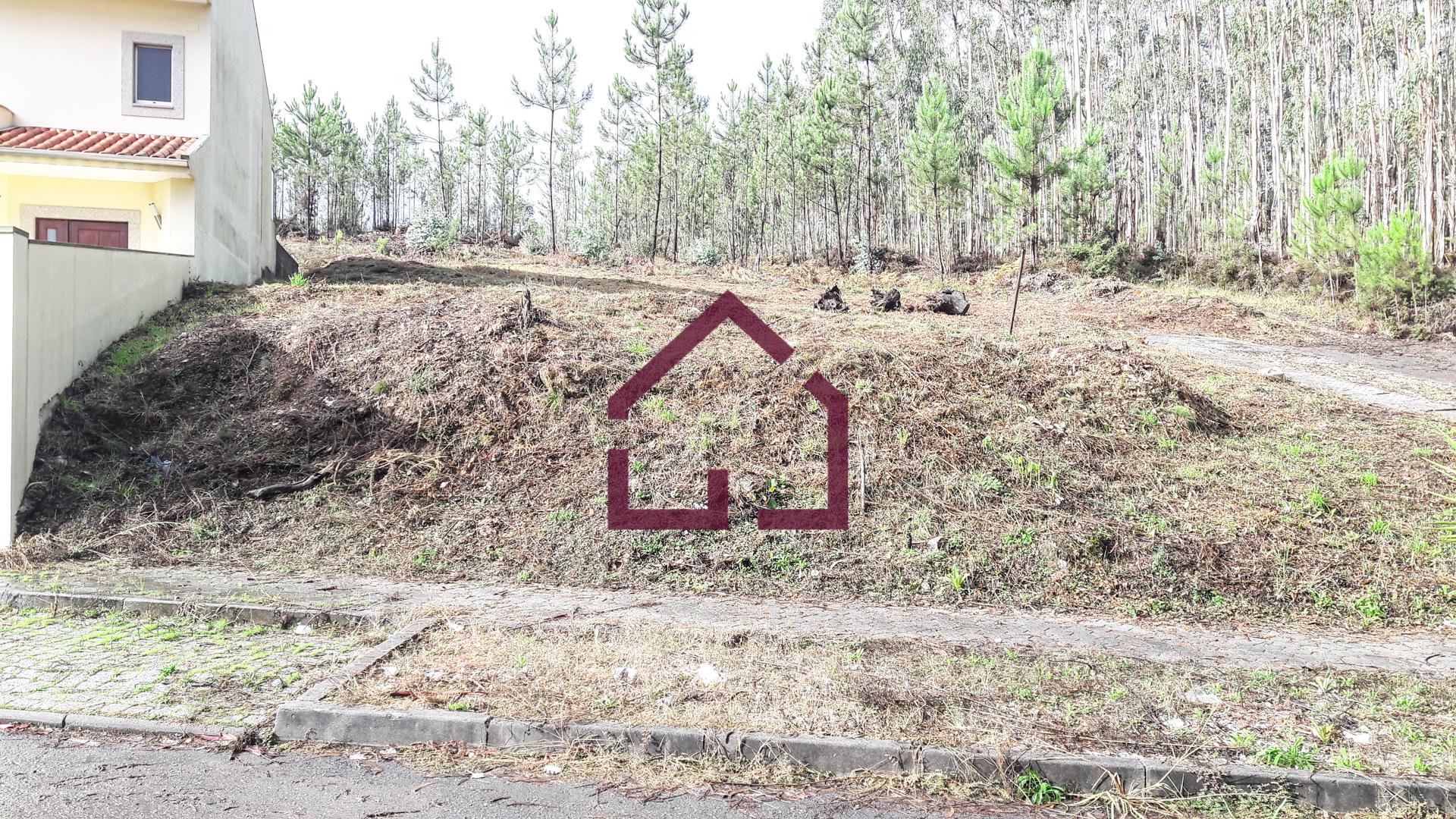 Terreno Para Construção  Venda em Macieira de Sarnes,Oliveira de Azeméis