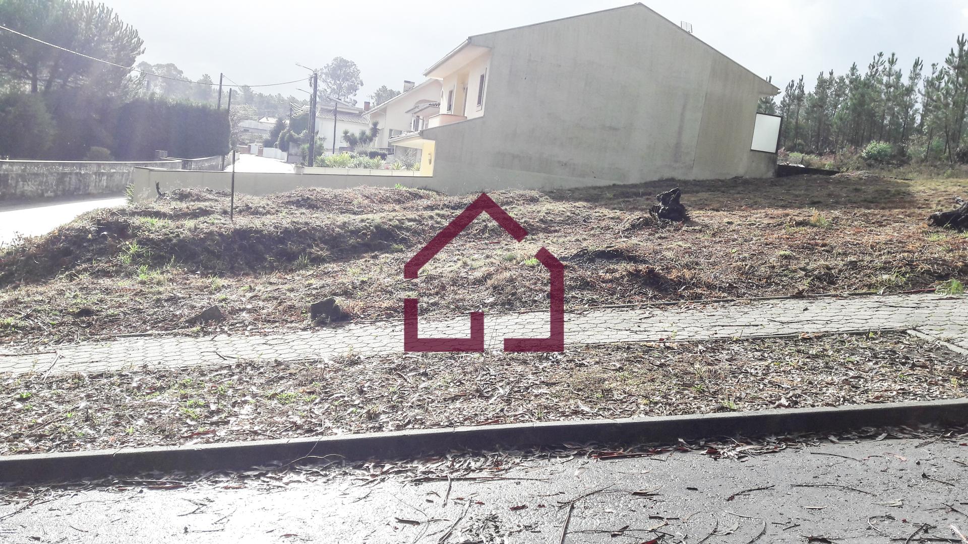 Terreno Para Construção  Venda em Macieira de Sarnes,Oliveira de Azeméis