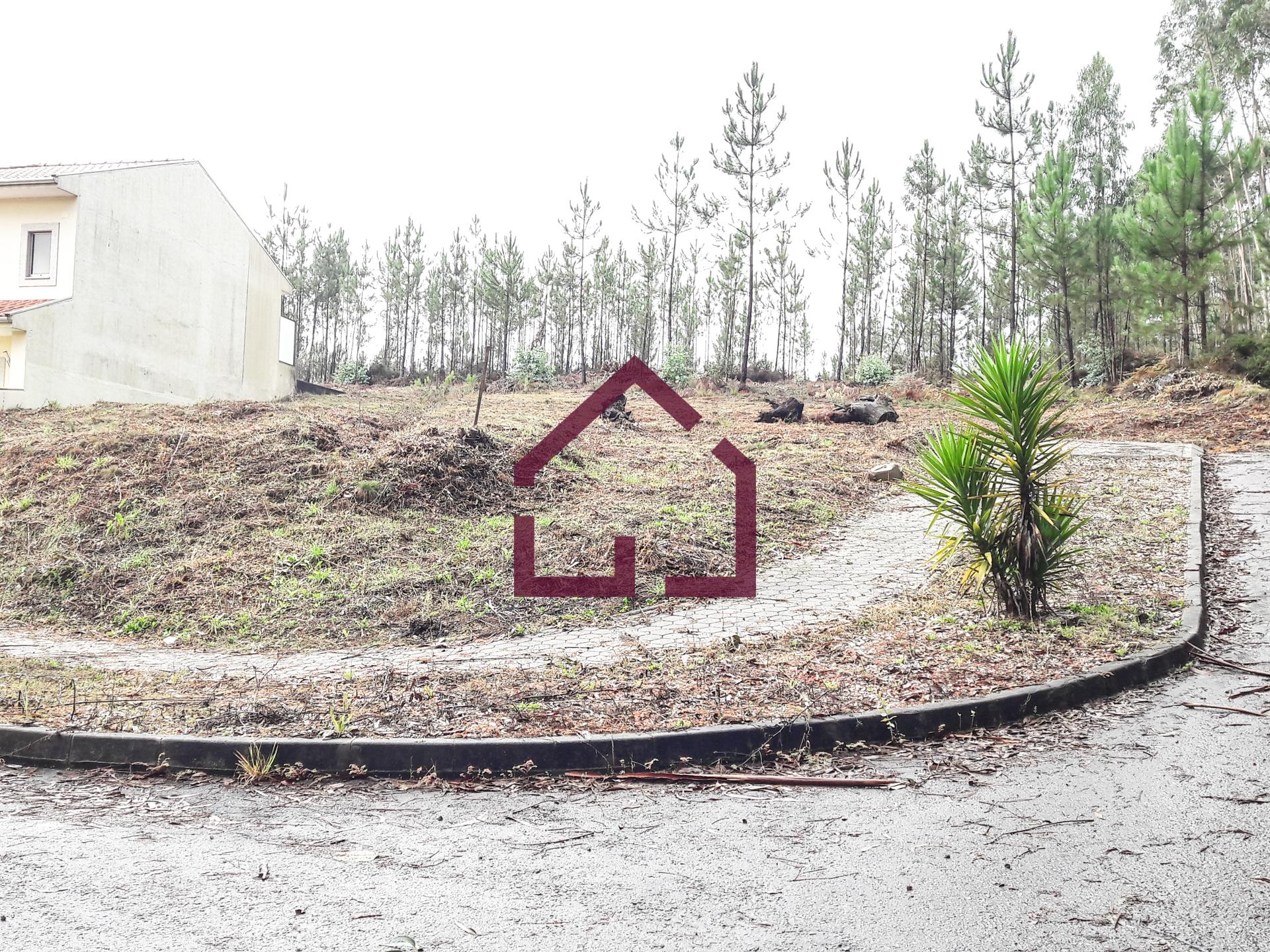 Terreno Para Construção  Venda em Macieira de Sarnes,Oliveira de Azeméis