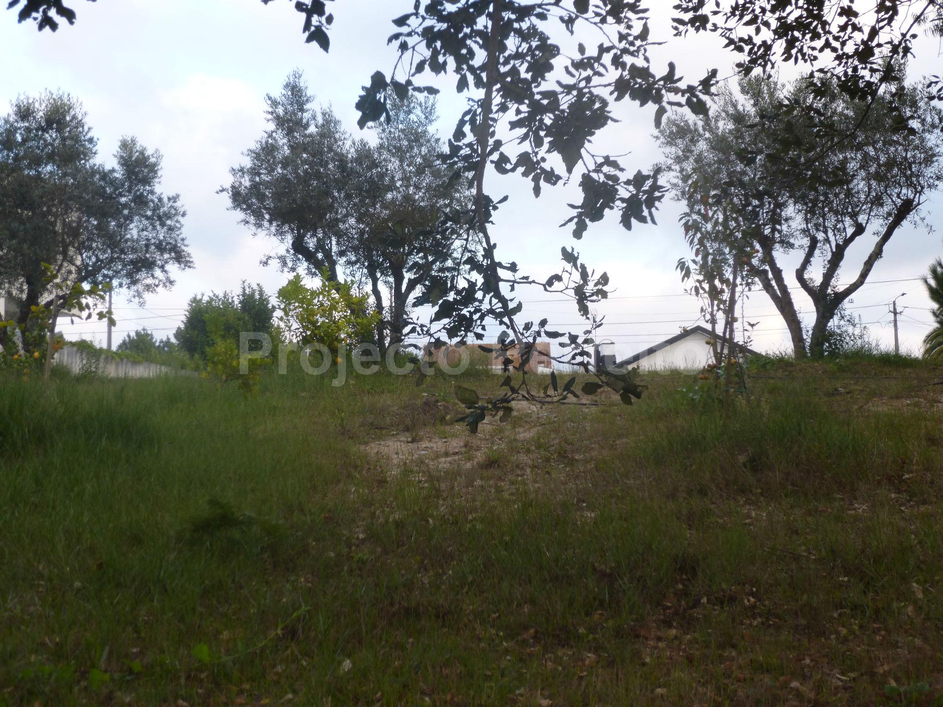 Lote de Terreno  Venda em Ovar, São João, Arada e São Vicente de Pereira Jusã,Ovar