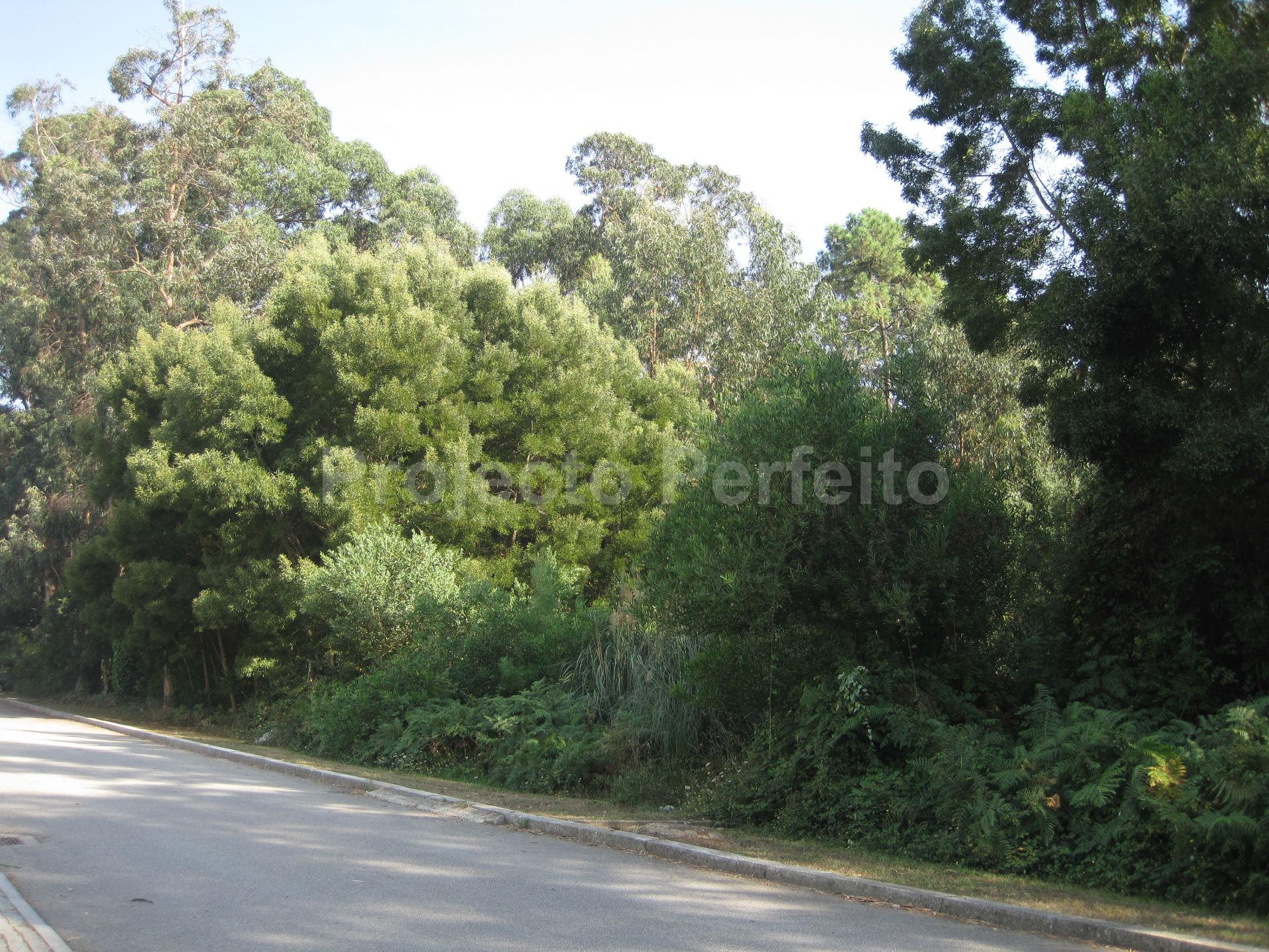 Lote Industrial  Venda em Paramos,Espinho