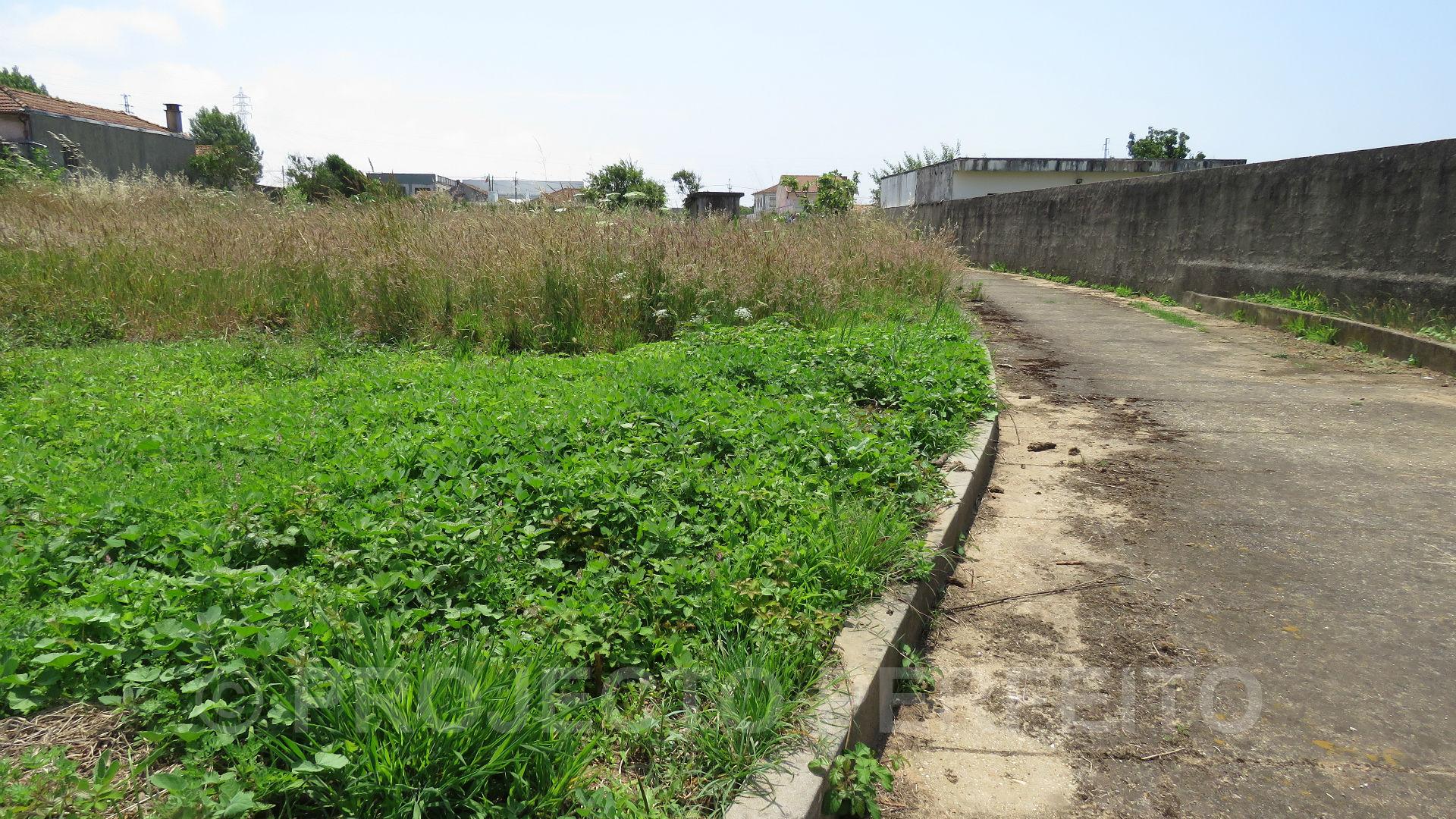 Lote de Terreno  Venda em Silvalde,Espinho