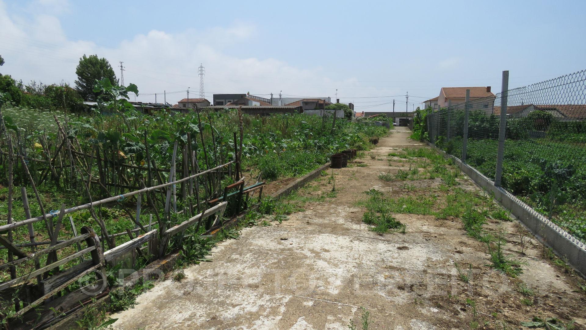 Lote de Terreno  Venda em Silvalde,Espinho