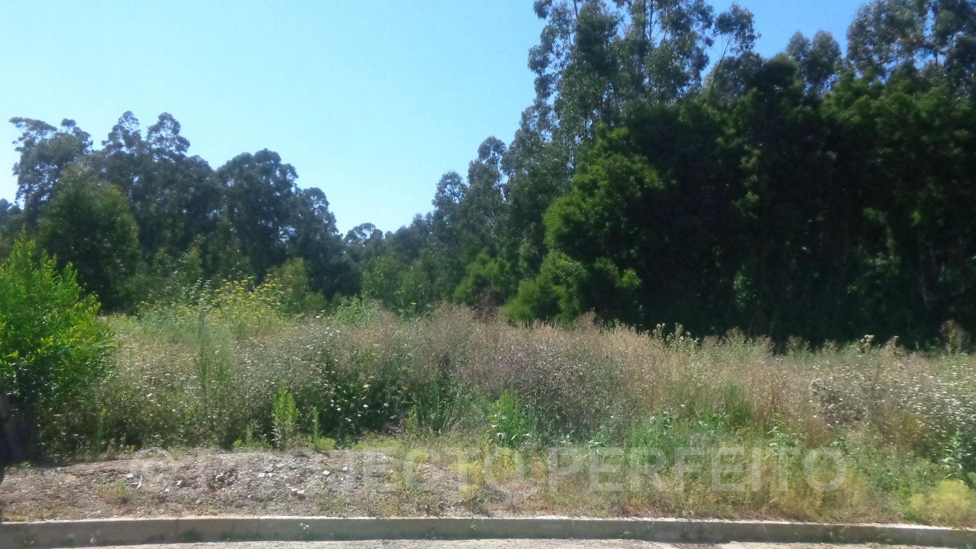 Lote de Terreno  Venda em Arcozelo,Vila Nova de Gaia