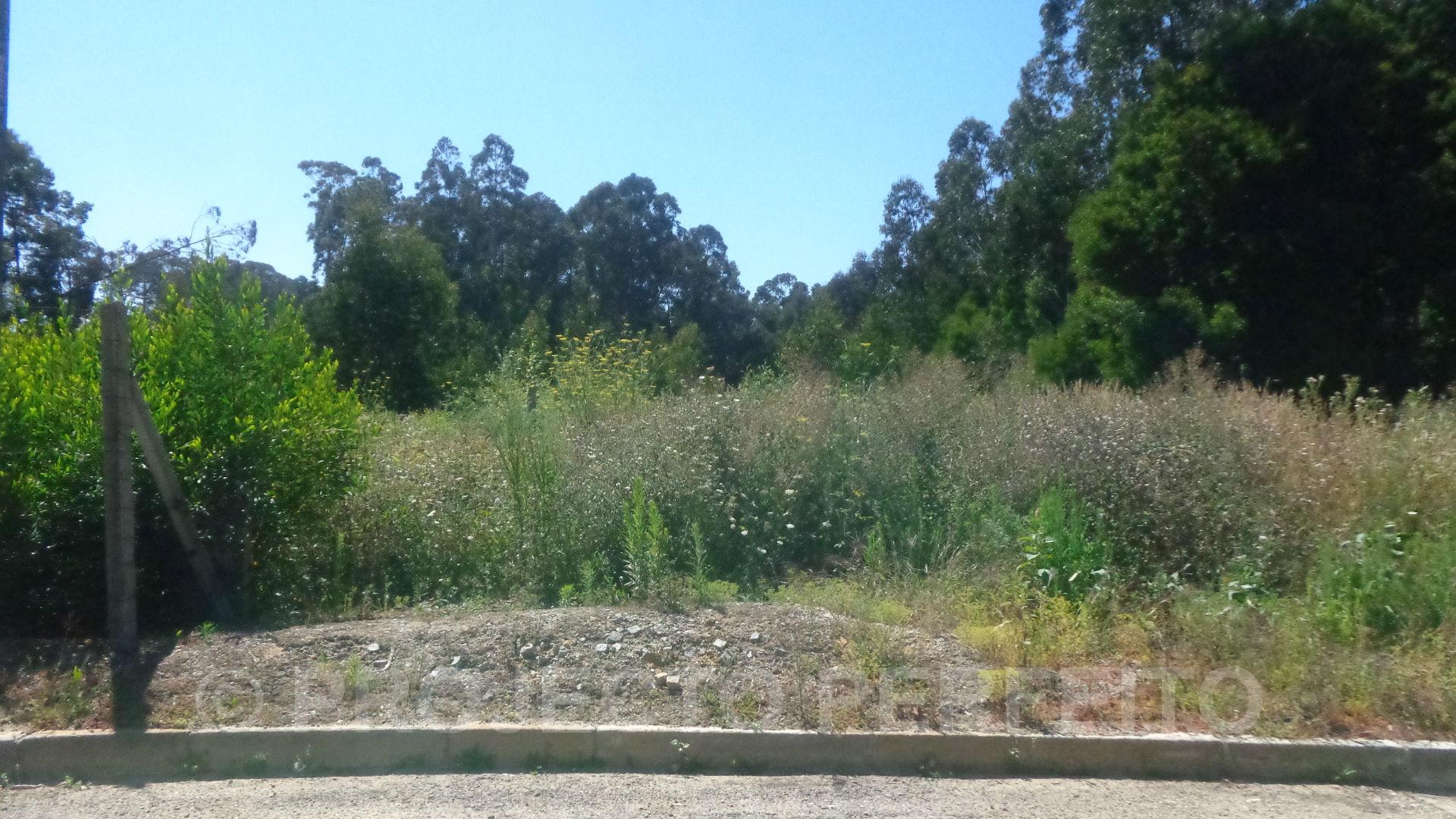 Lote de Terreno  Venda em Arcozelo,Vila Nova de Gaia