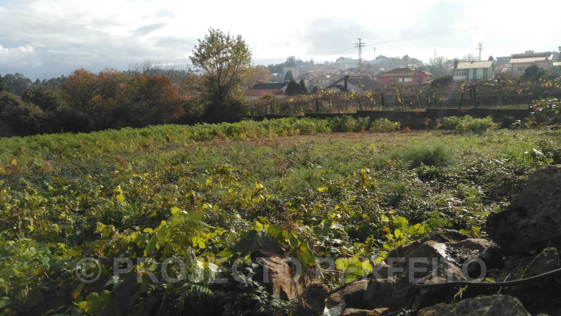 Lote de Terreno  Venda em Grijó e Sermonde,Vila Nova de Gaia