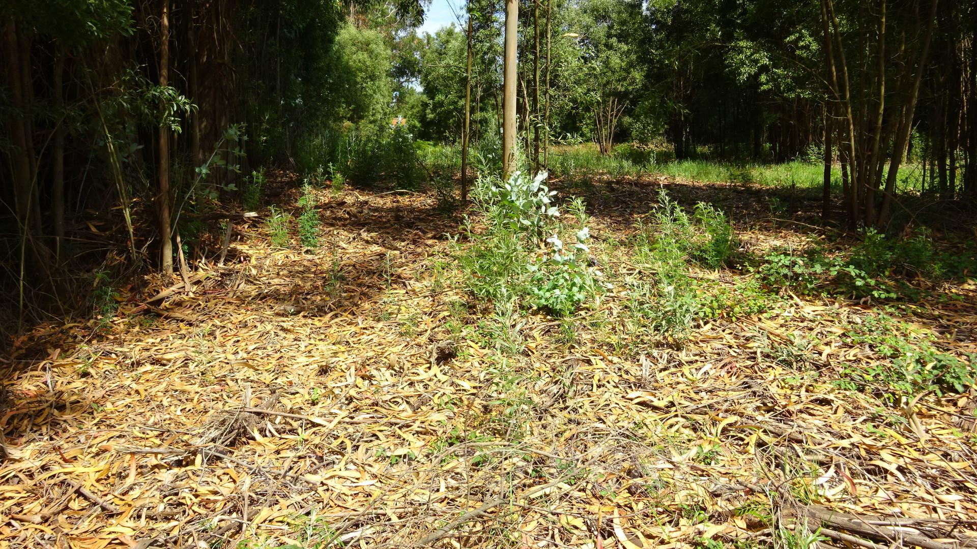 Lote de Terreno  Venda em Grijó e Sermonde,Vila Nova de Gaia