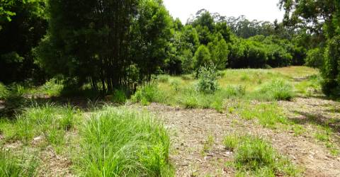 Lote de Terreno  Venda em Grijó e Sermonde,Vila Nova de Gaia
