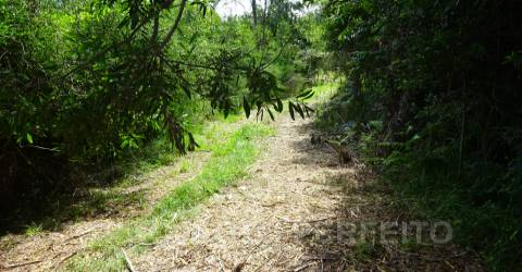 Lote de Terreno  Venda em Grijó e Sermonde,Vila Nova de Gaia