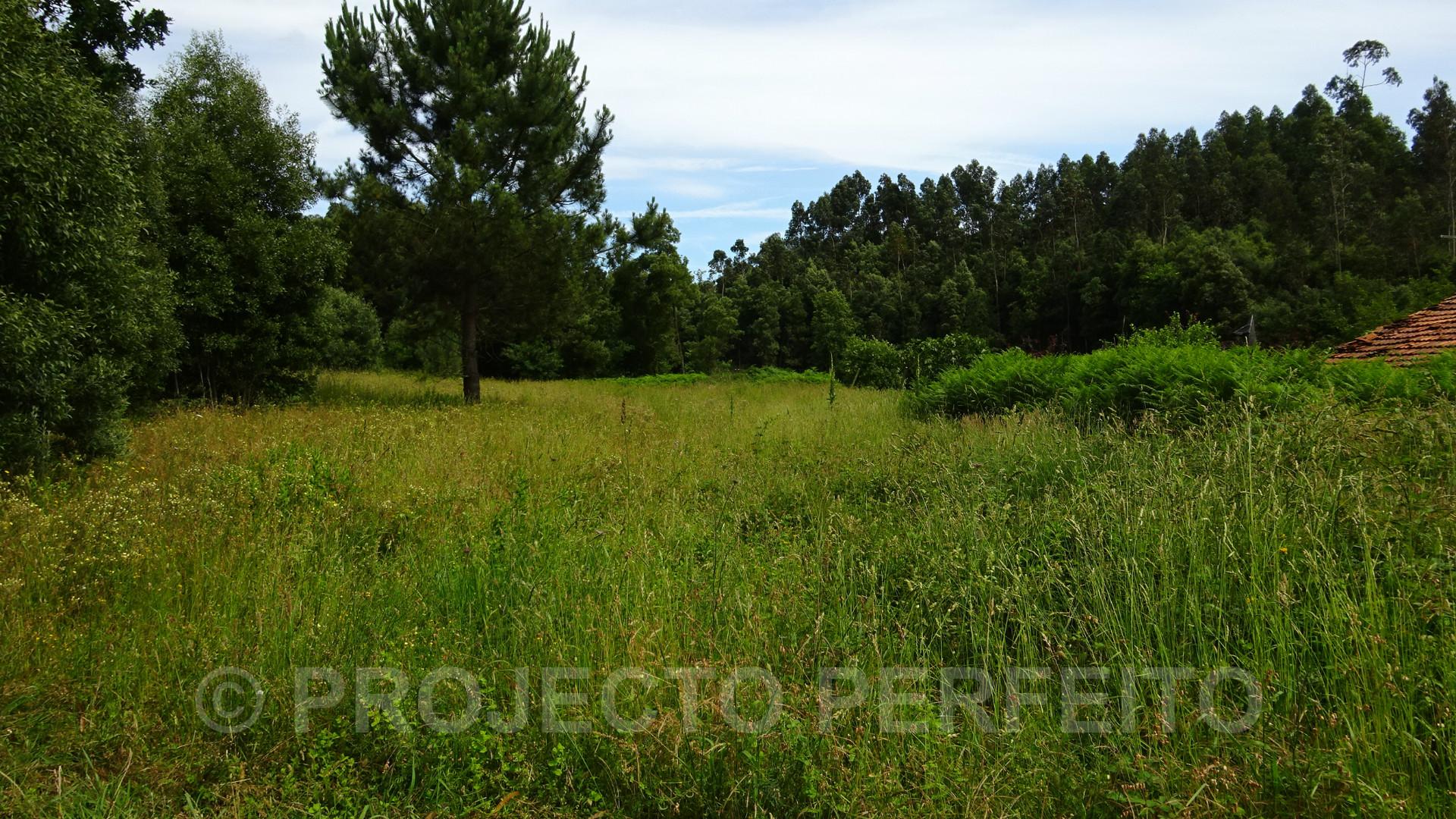 Lote de Terreno  Venda em Grijó e Sermonde,Vila Nova de Gaia