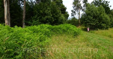 Lote de Terreno  Venda em Grijó e Sermonde,Vila Nova de Gaia