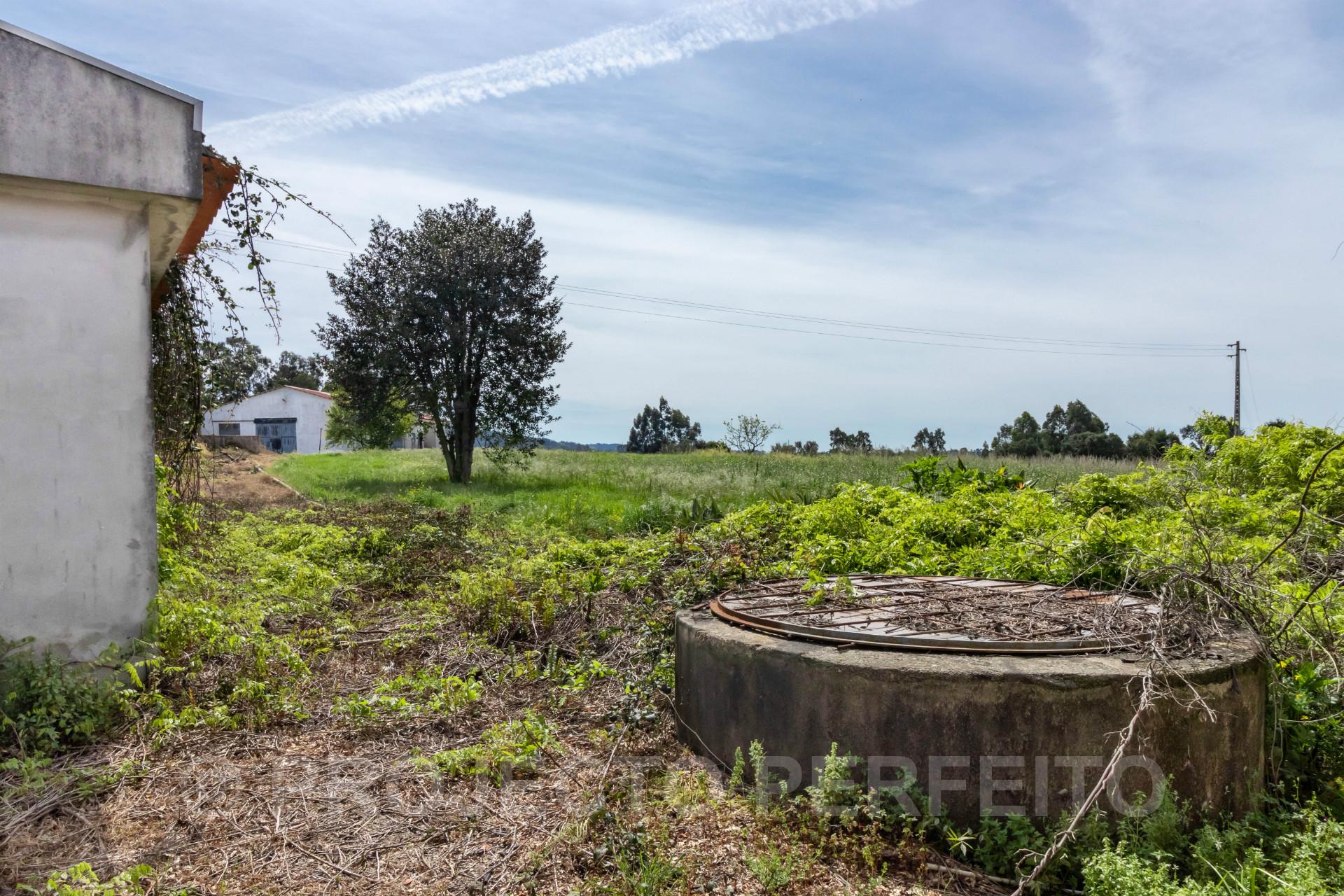 Terreno  Venda em Grijó e Sermonde,Vila Nova de Gaia