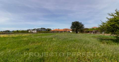 Terreno  Venda em Grijó e Sermonde,Vila Nova de Gaia