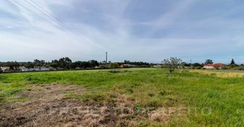 Terreno  Venda em Grijó e Sermonde,Vila Nova de Gaia