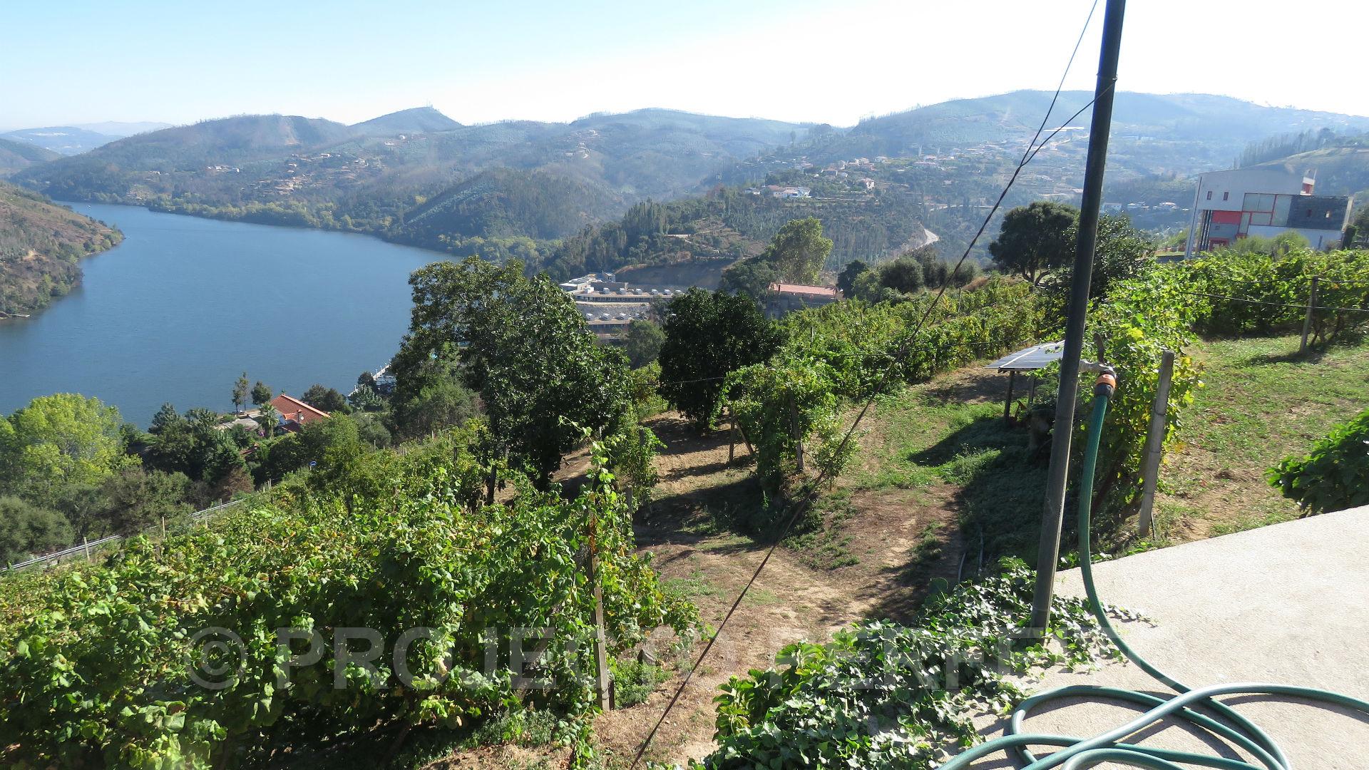 Quinta T3 Venda em Raiva, Pedorido e Paraíso,Castelo de Paiva