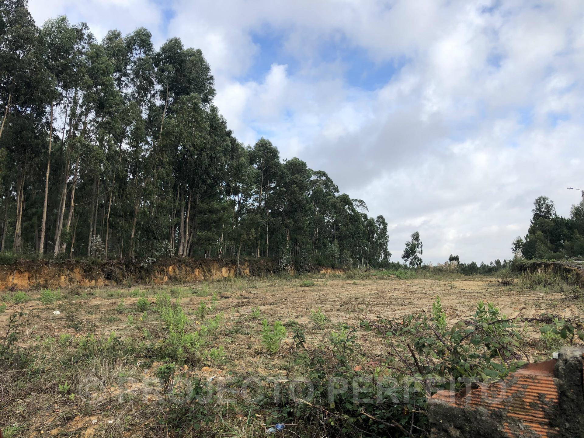 Lote de Terreno  Venda em Silvalde,Espinho