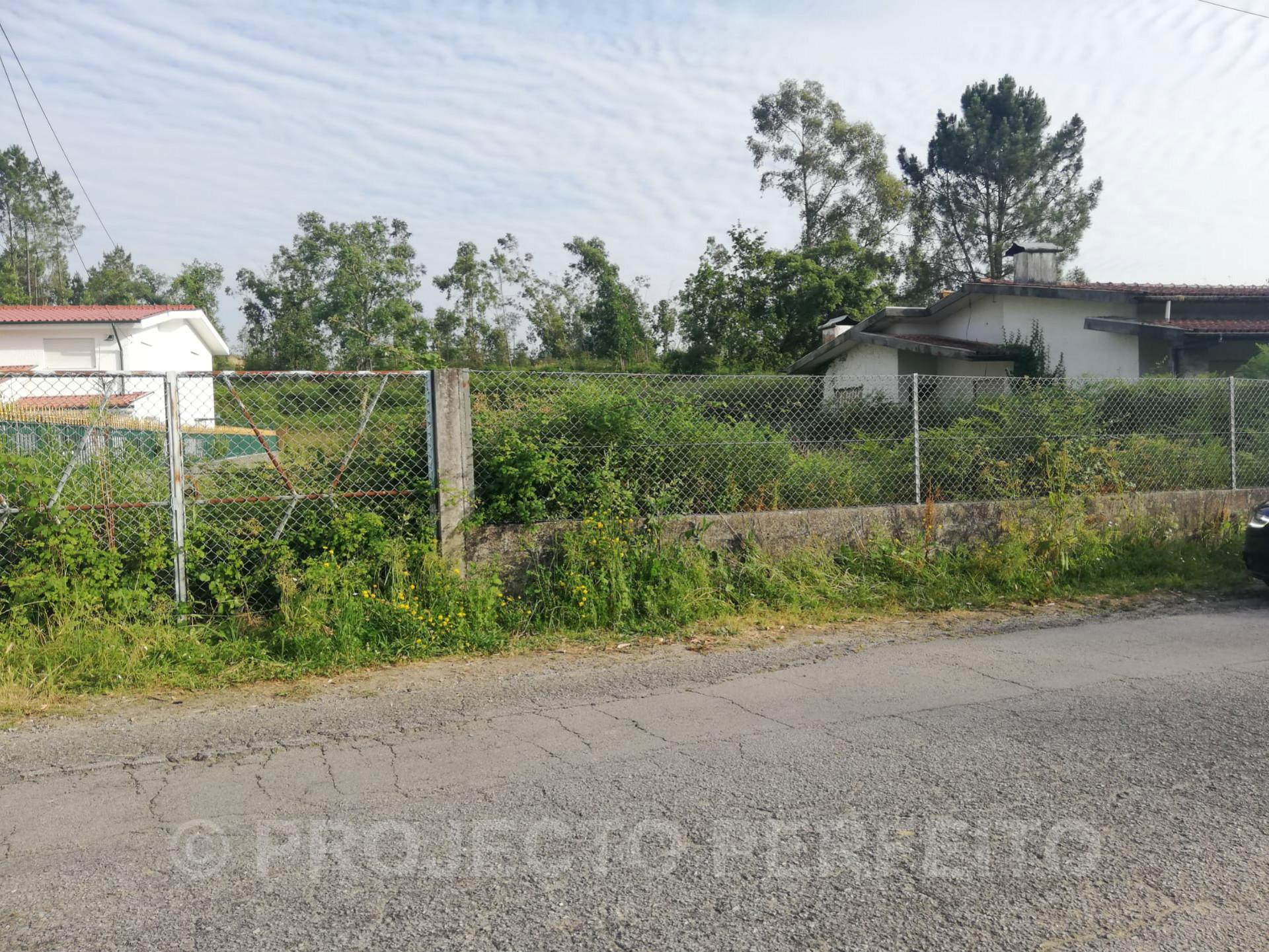 Terreno Para Construção  Venda em São Miguel do Souto e Mosteirô,Santa Maria da Feira