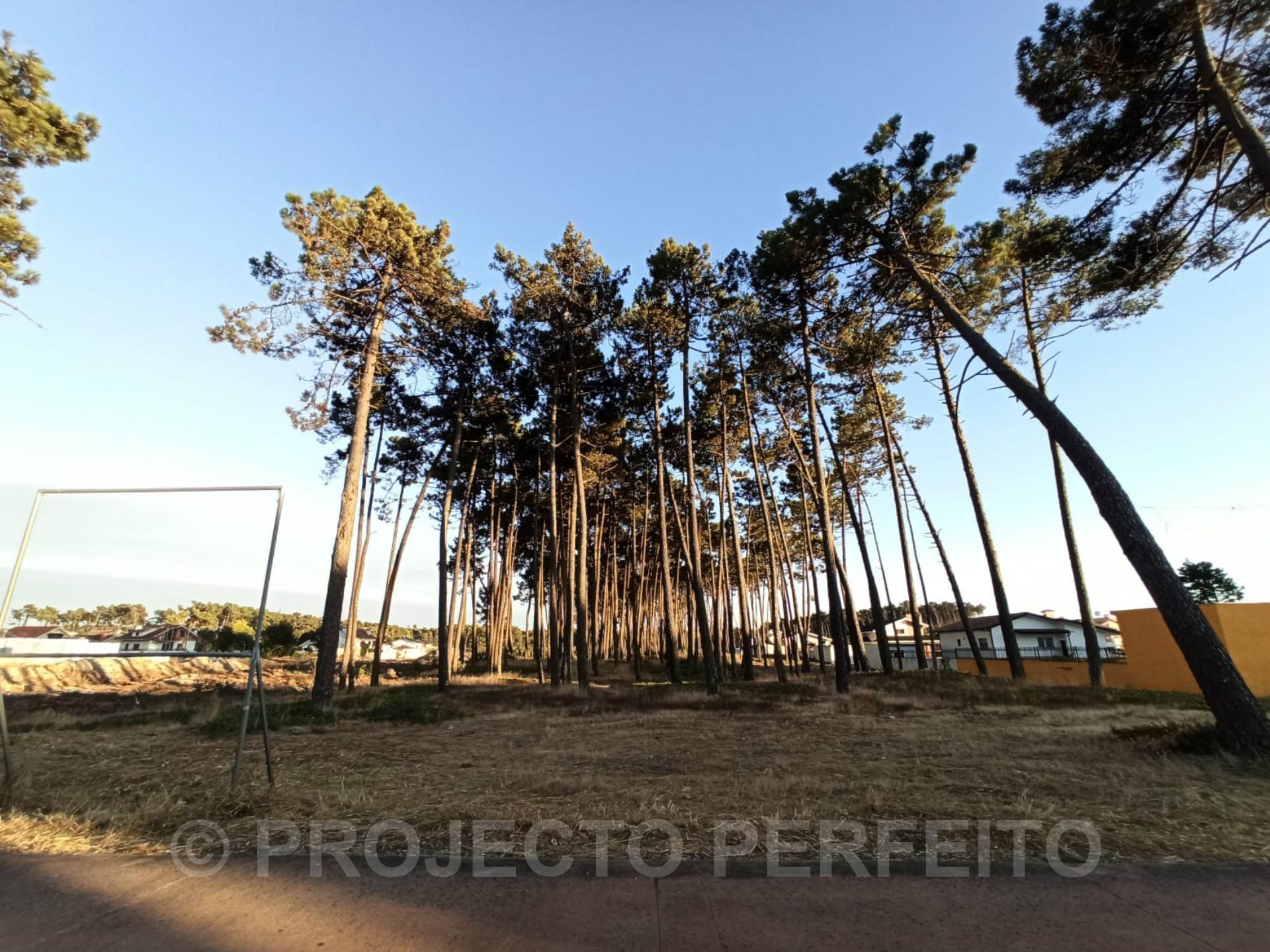 Terreno Rústico  Venda em Esmoriz,Ovar