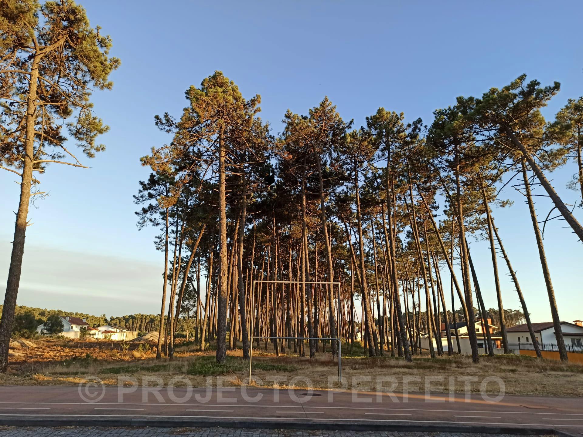 Terreno Rústico  Venda em Esmoriz,Ovar