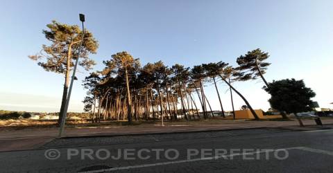 Terreno Rústico  Venda em Esmoriz,Ovar