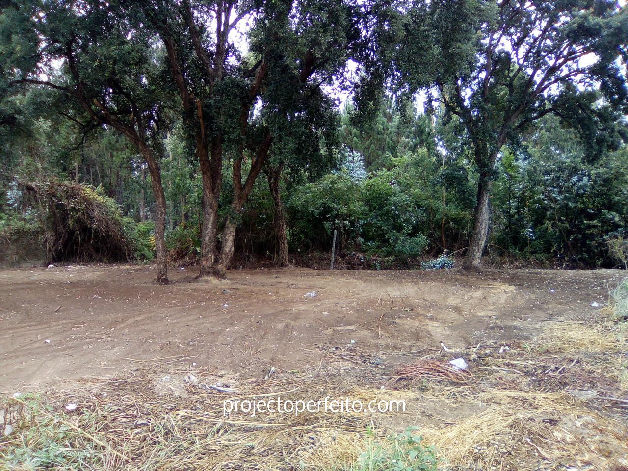 Lote de Terreno  Venda em Esmoriz,Ovar