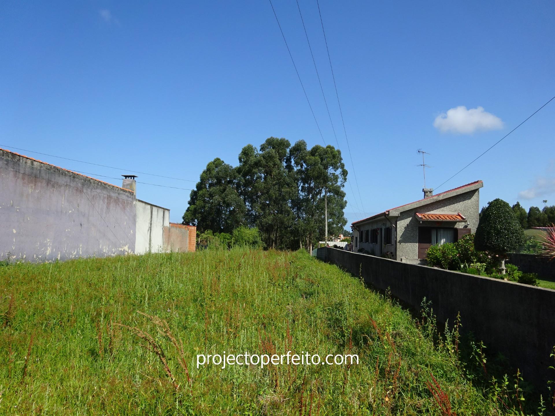 Lote de Terreno  Venda em Maceda,Ovar