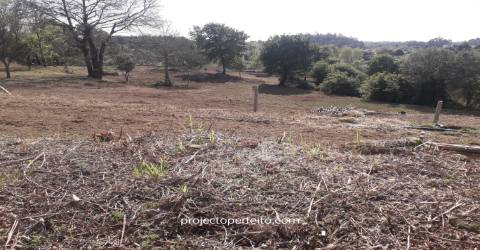 Quinta  Venda em Grijó e Sermonde,Vila Nova de Gaia