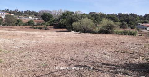 Quinta  Venda em Grijó e Sermonde,Vila Nova de Gaia