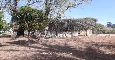 Quinta  Venda em Grijó e Sermonde,Vila Nova de Gaia