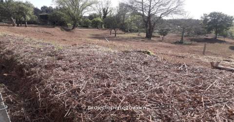 Quinta  Venda em Grijó e Sermonde,Vila Nova de Gaia