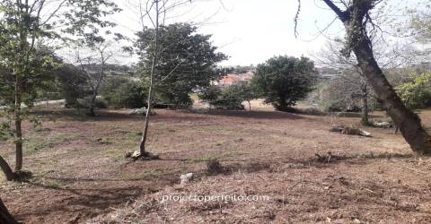 Quinta  Venda em Grijó e Sermonde,Vila Nova de Gaia