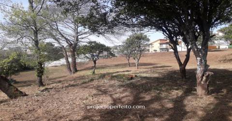 Quinta  Venda em Grijó e Sermonde,Vila Nova de Gaia