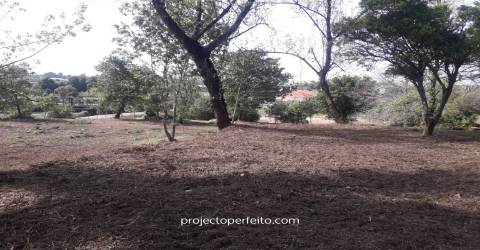 Quinta  Venda em Grijó e Sermonde,Vila Nova de Gaia