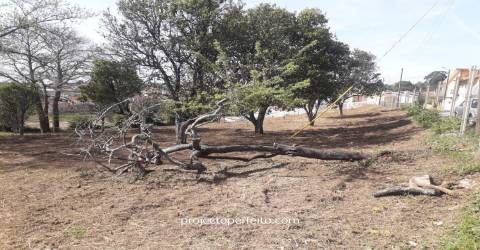 Quinta  Venda em Grijó e Sermonde,Vila Nova de Gaia