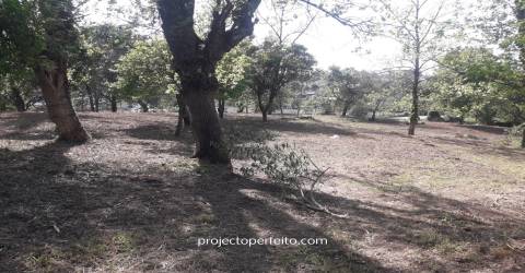 Quinta  Venda em Grijó e Sermonde,Vila Nova de Gaia