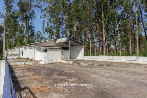 Armazém  Venda em Válega,Ovar