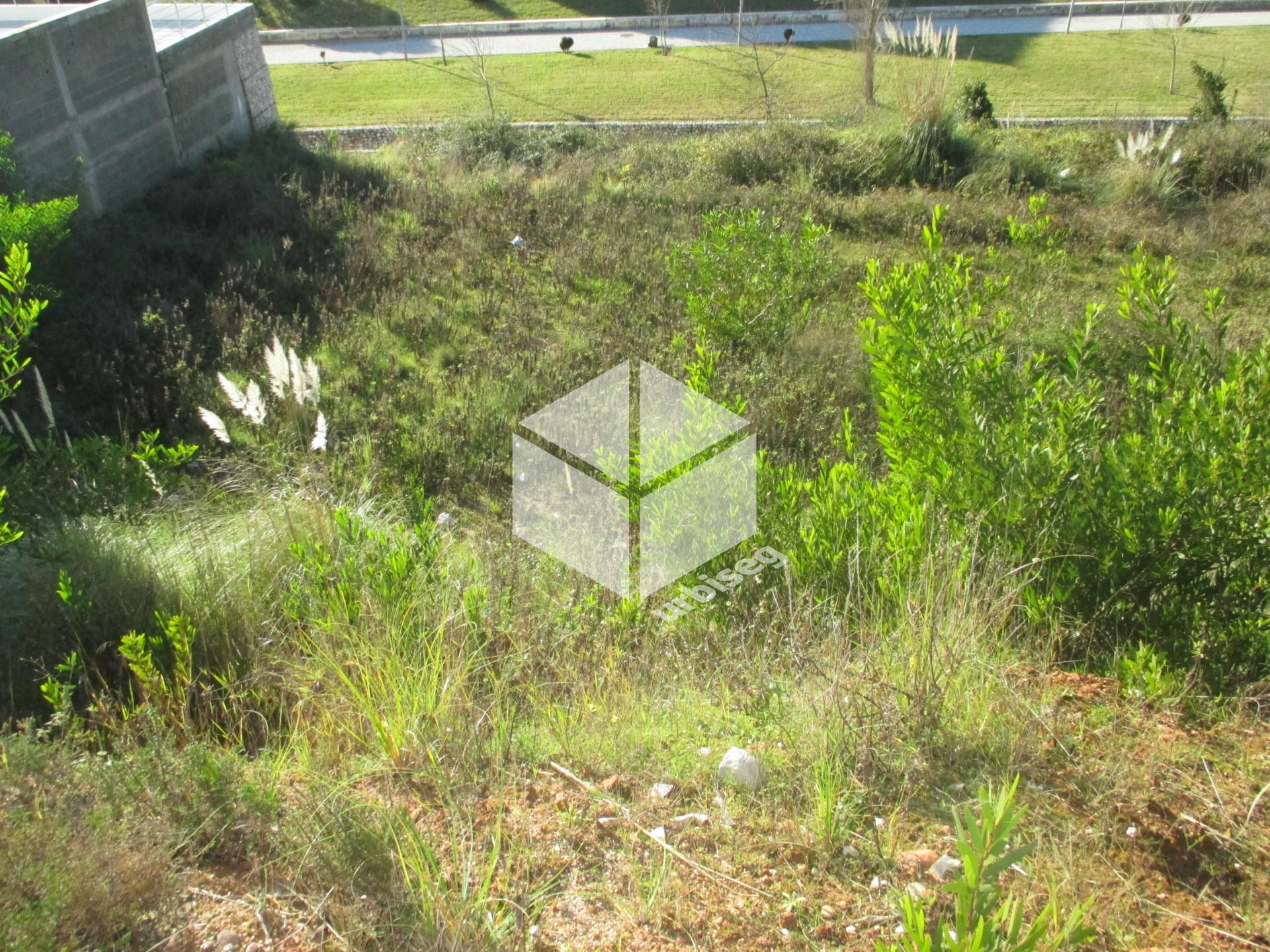 Lote Terreno Urbano na Quinta da Borloteira