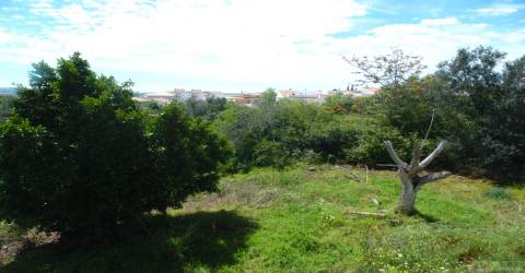 Lote de terreno para loteamento em Mexilhoeira grande.