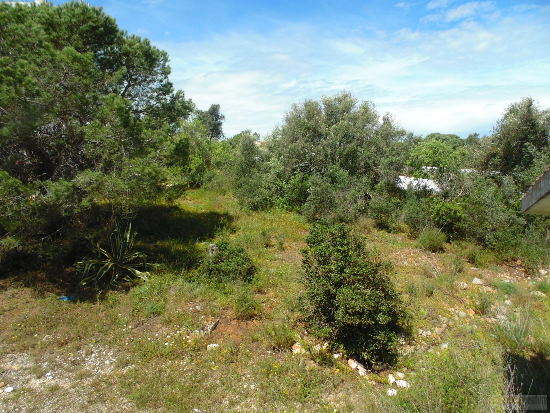 Lote de terreno para loteamento em Mexilhoeira grande.