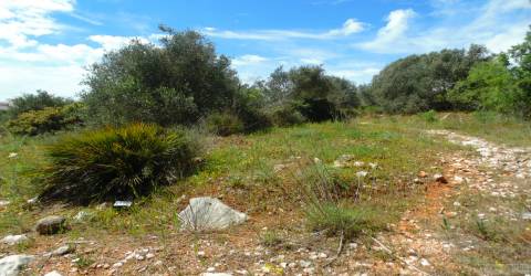 Lote de terreno para loteamento em Mexilhoeira grande.