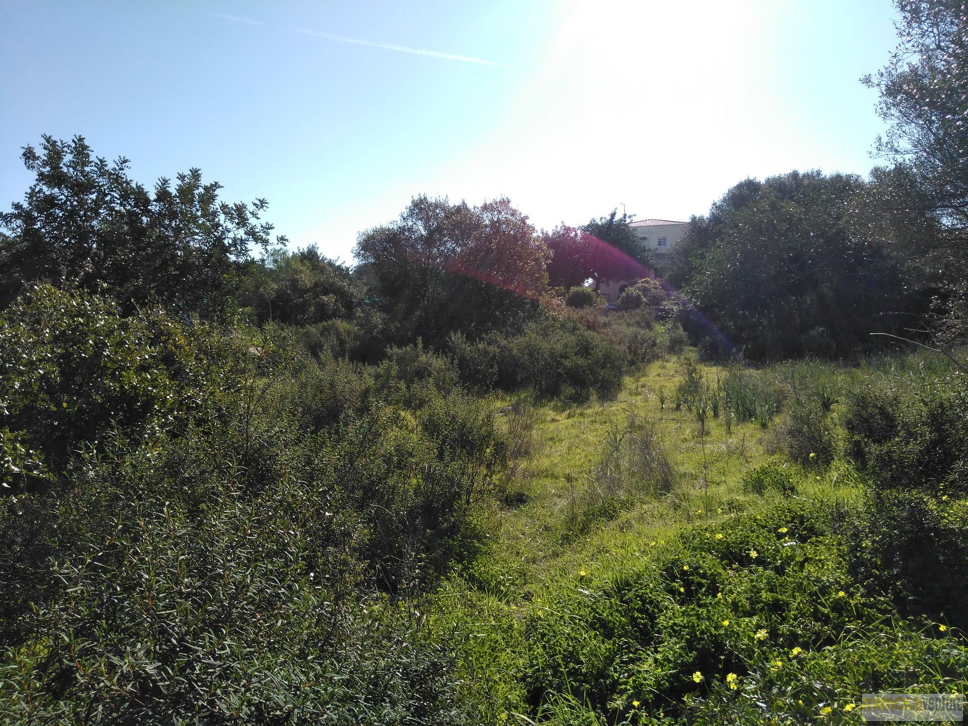 Lote fabuloso para construção de moradia em zona calma em Monte Canelas