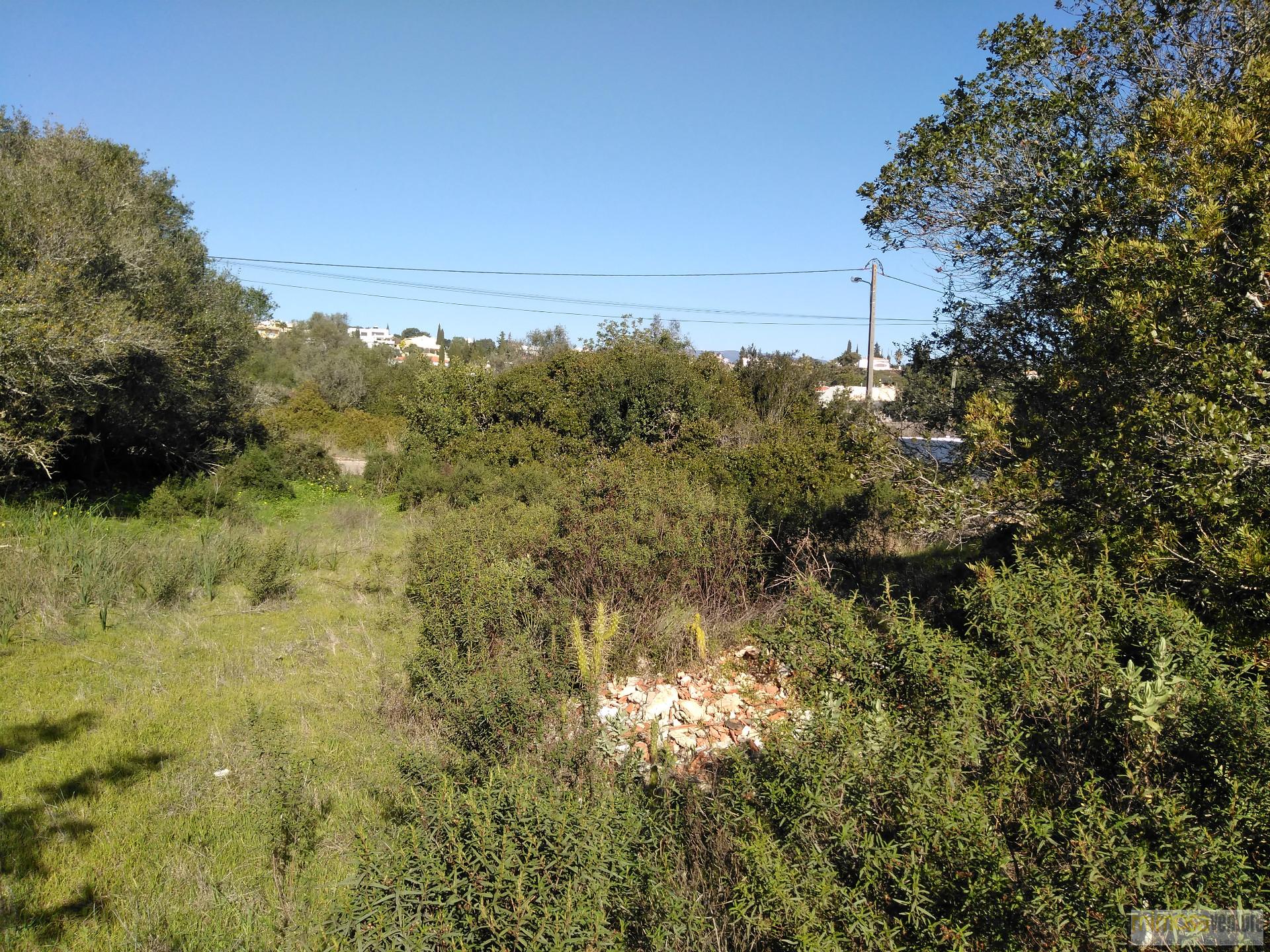 Lote fabuloso para construção de moradia em zona calma em Monte Canelas