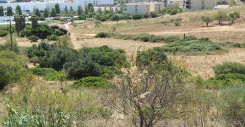 Excelente terreno para construção de blocos apartamentos em Lagos