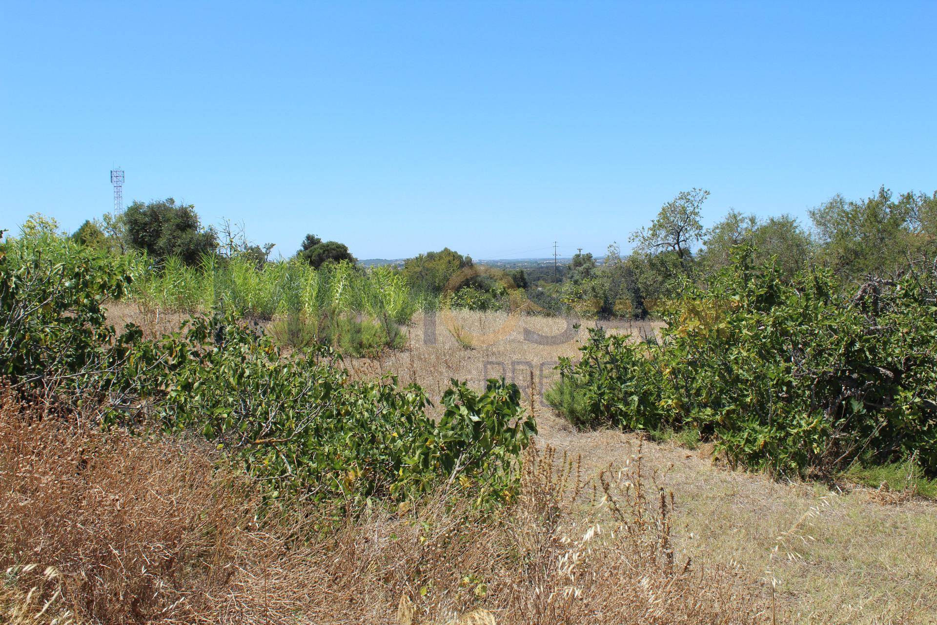 Terreno com projeto de loteamento em Portimão.