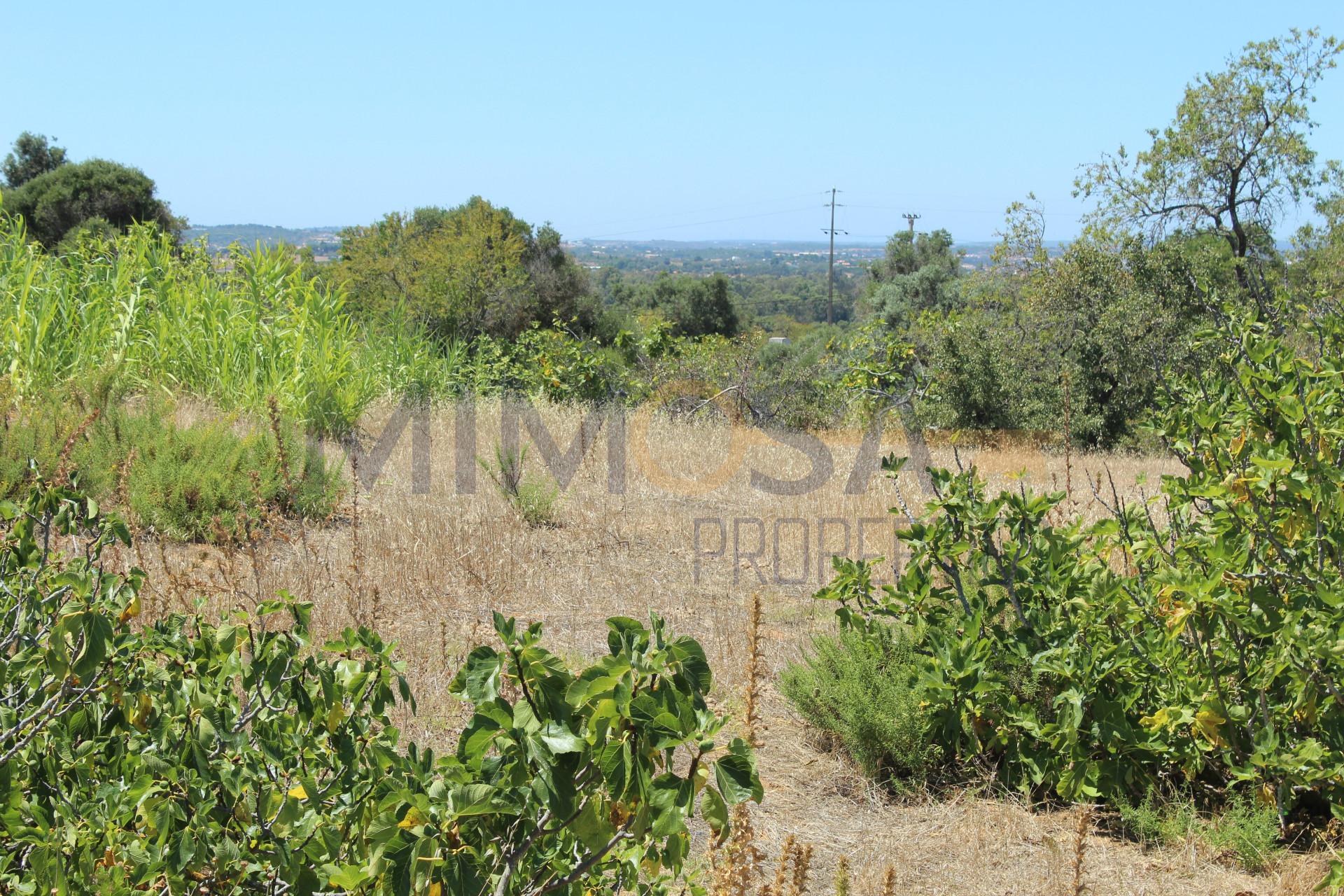 Terreno com projeto de loteamento em Portimão.