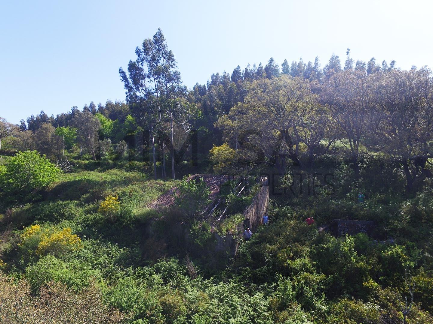 Terreno com ruína em Monchique