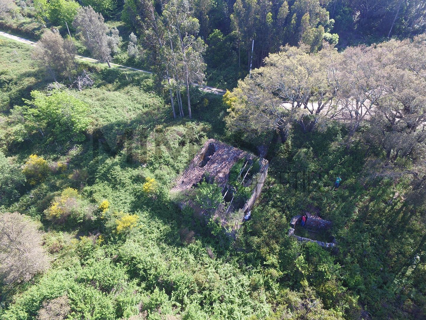 Terreno com ruína em Monchique