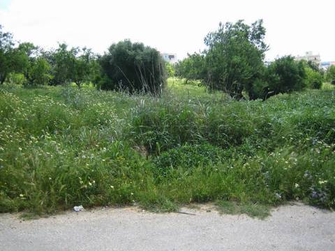 Terreno urbano - Portimão - Alto da Boavista - Algarve