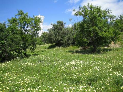 Terreno urbano - Portimão - Alto da Boavista - Algarve