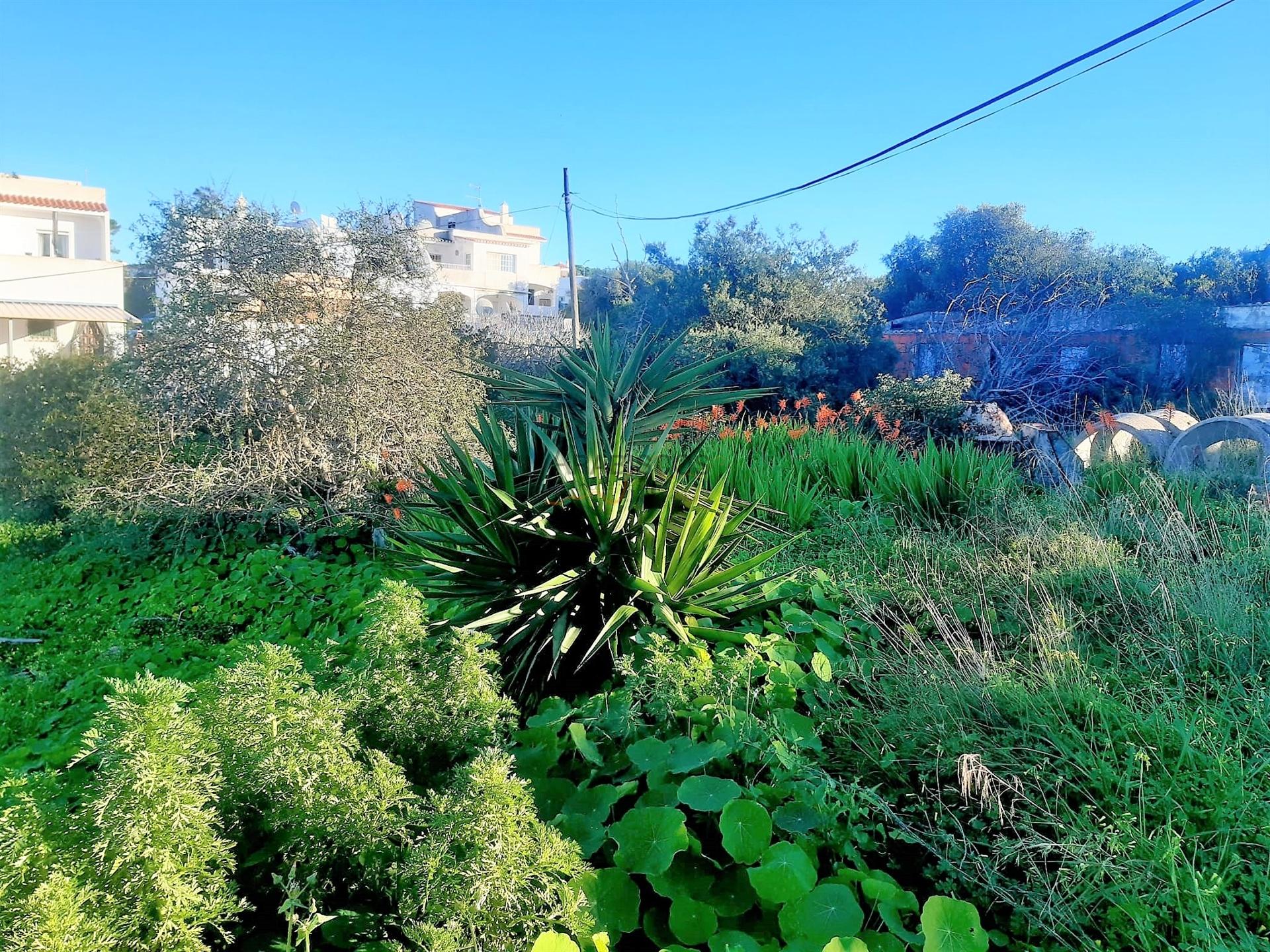 Lote terreno - construção moradia isolada - Vista mar - Carvoeiro - Algarve